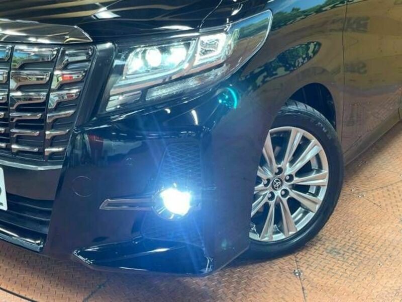 ALPHARD-12