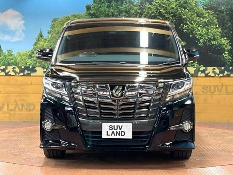 ALPHARD-14