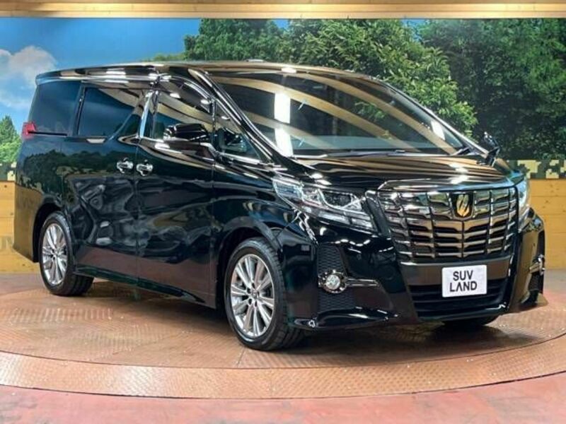 ALPHARD-16