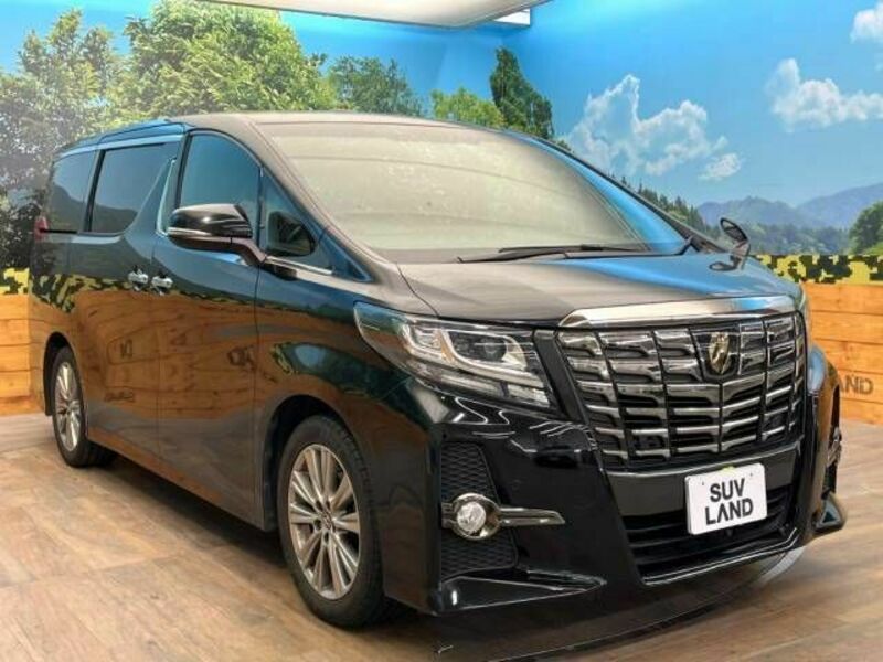 ALPHARD-17