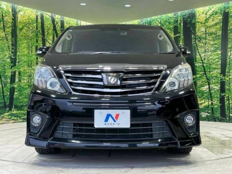 ALPHARD-15