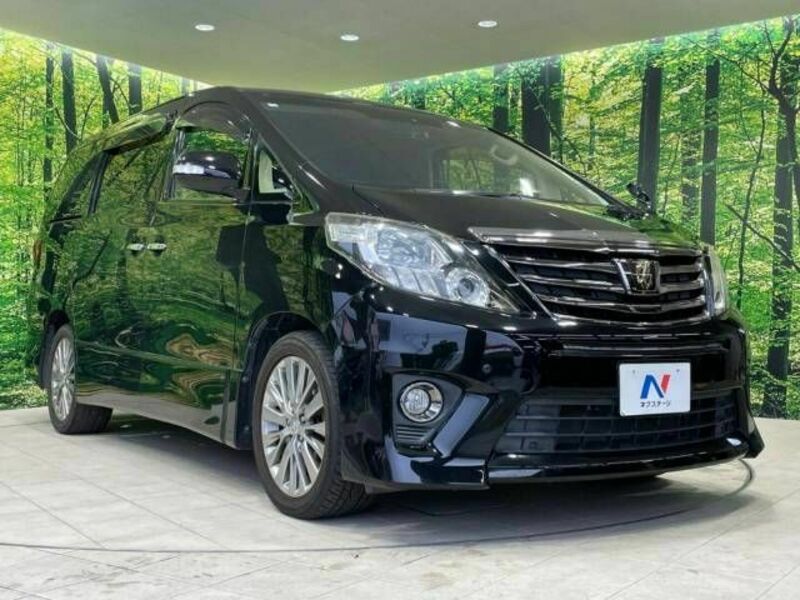 ALPHARD-17