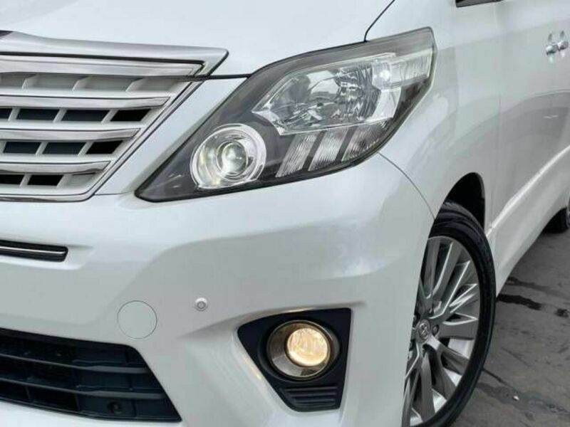 ALPHARD-11