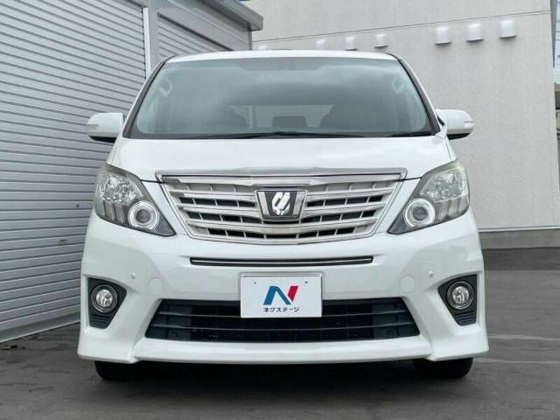 ALPHARD-13