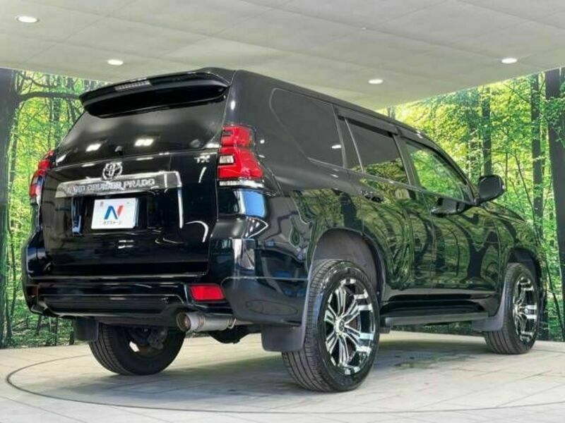 LAND CRUISER PRADO-17