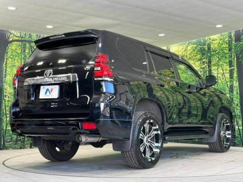 LAND CRUISER PRADO-18