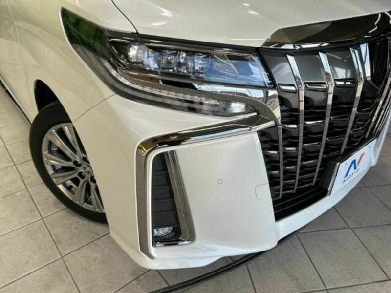 ALPHARD-13