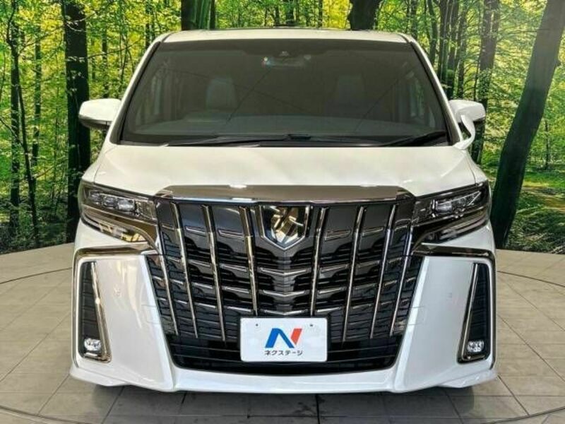 ALPHARD-15