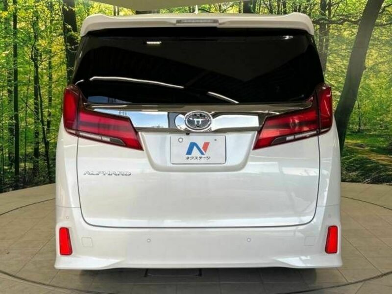 ALPHARD-16