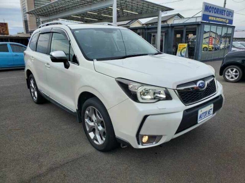 FORESTER-31