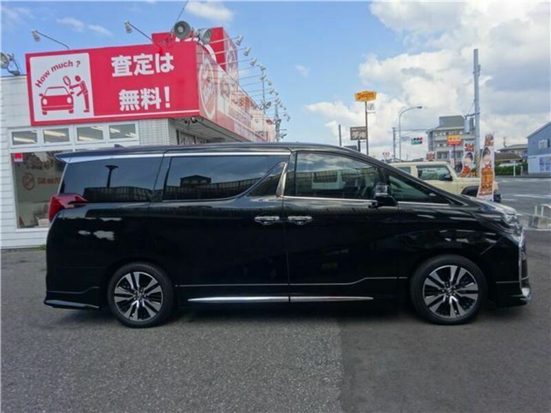 ALPHARD-6