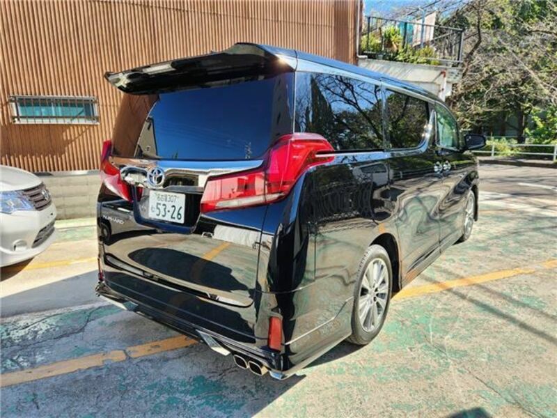 ALPHARD-3