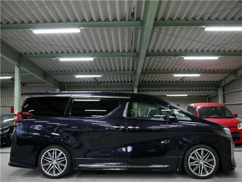 ALPHARD-31