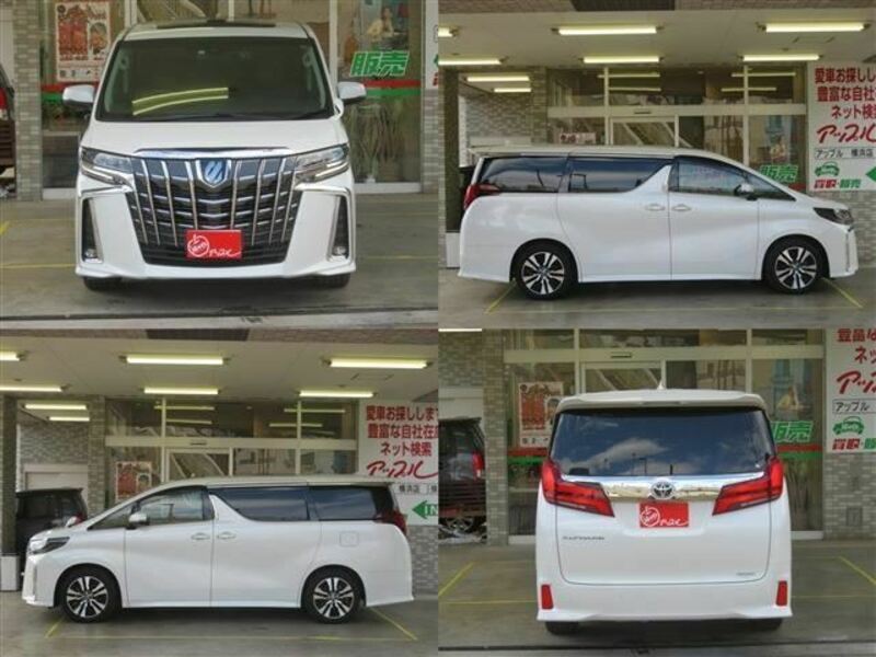 ALPHARD-4