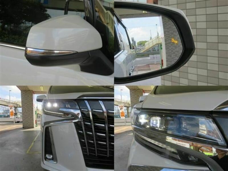 ALPHARD-15