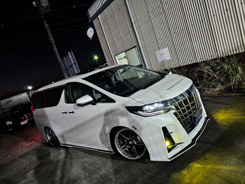 ALPHARD-16