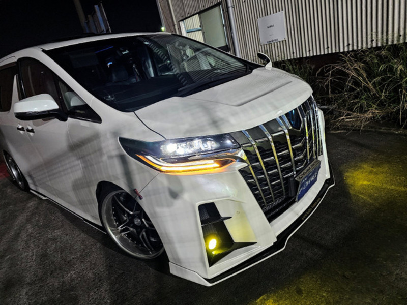 ALPHARD-17