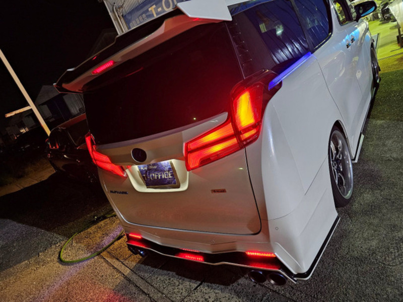 ALPHARD-19