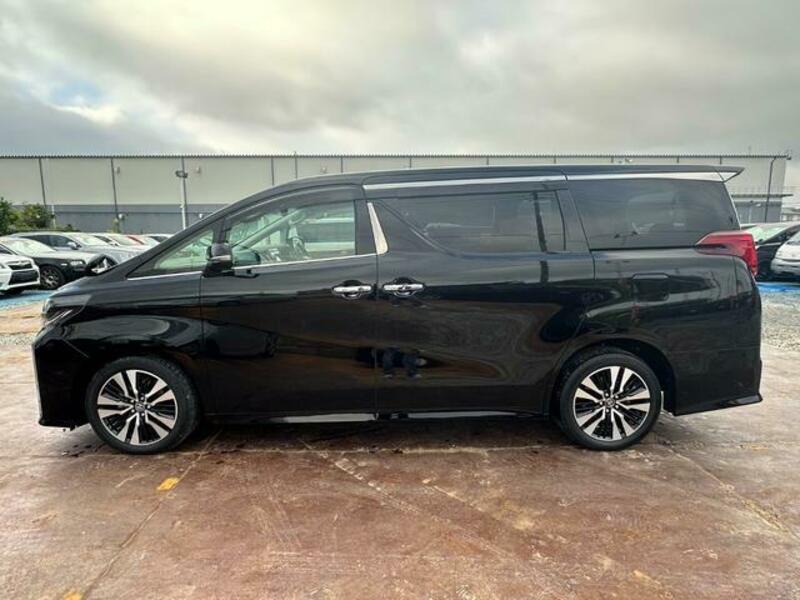 ALPHARD-5