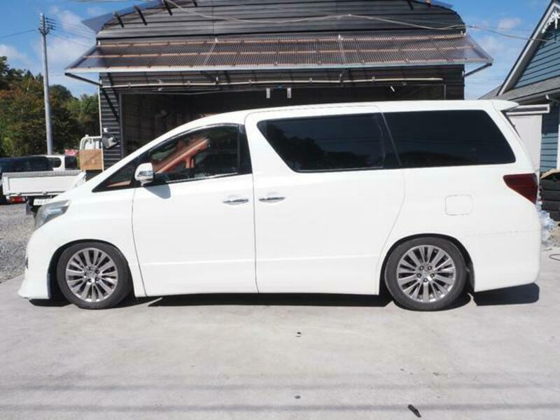 ALPHARD-7