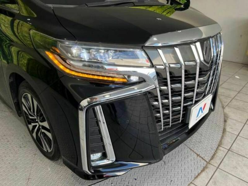 ALPHARD-13