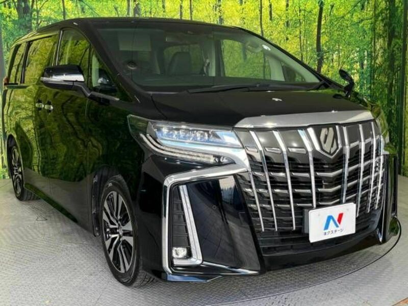 ALPHARD-17