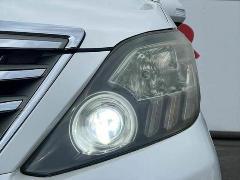 ALPHARD-11