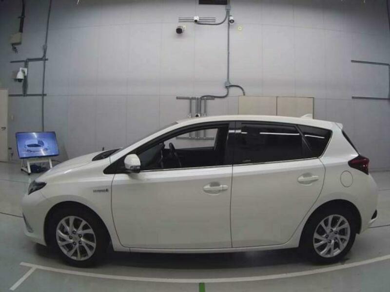 AURIS-6