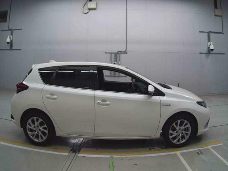 AURIS-7