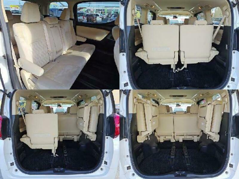 ALPHARD-6