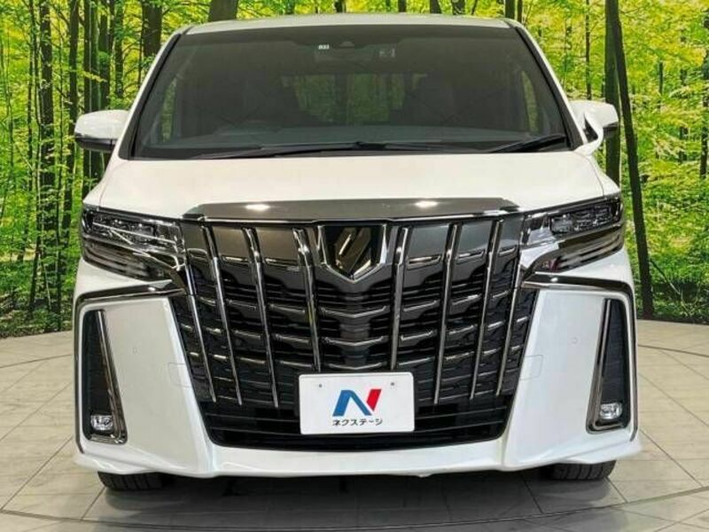 ALPHARD-14