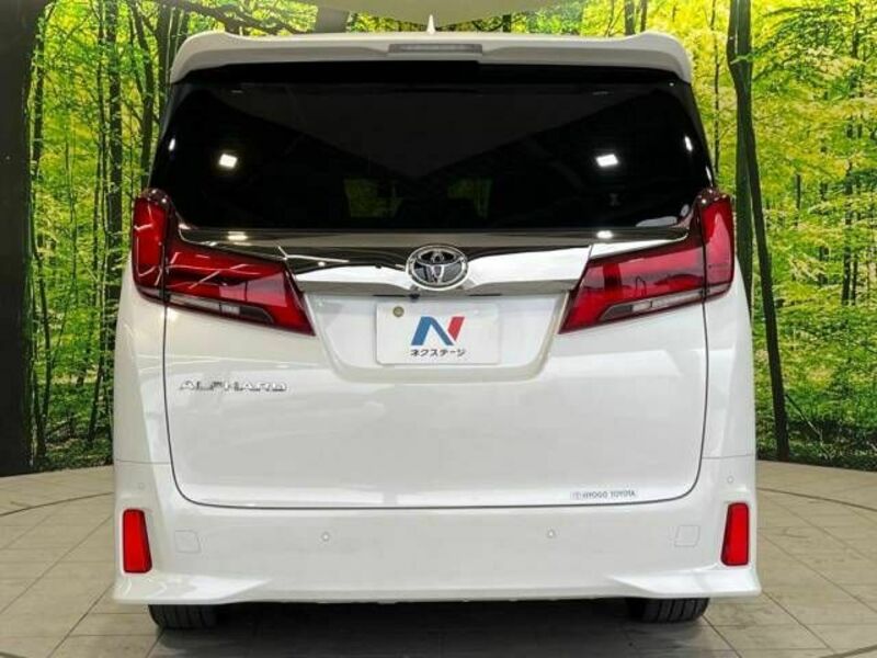 ALPHARD-15