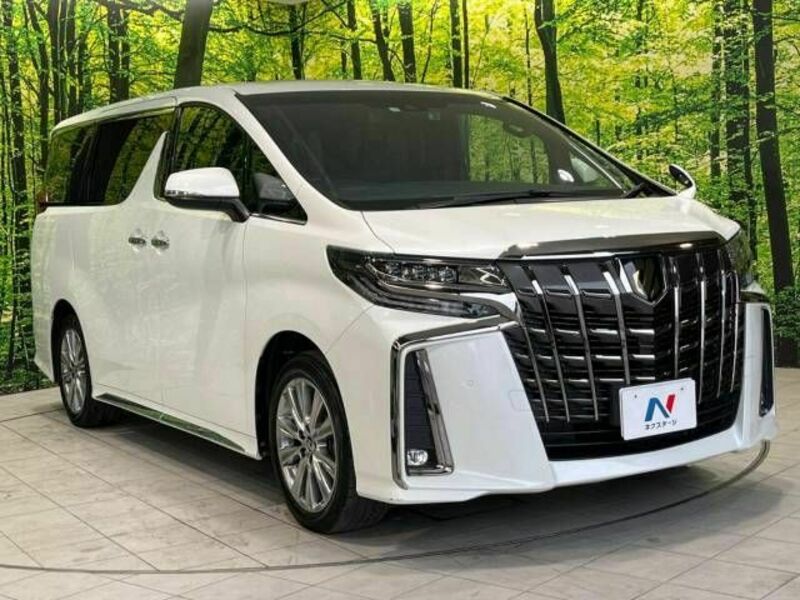 ALPHARD-16