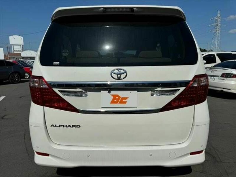 ALPHARD-13