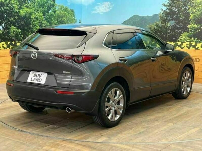 CX-30-17