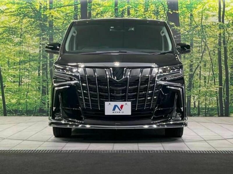 ALPHARD-14