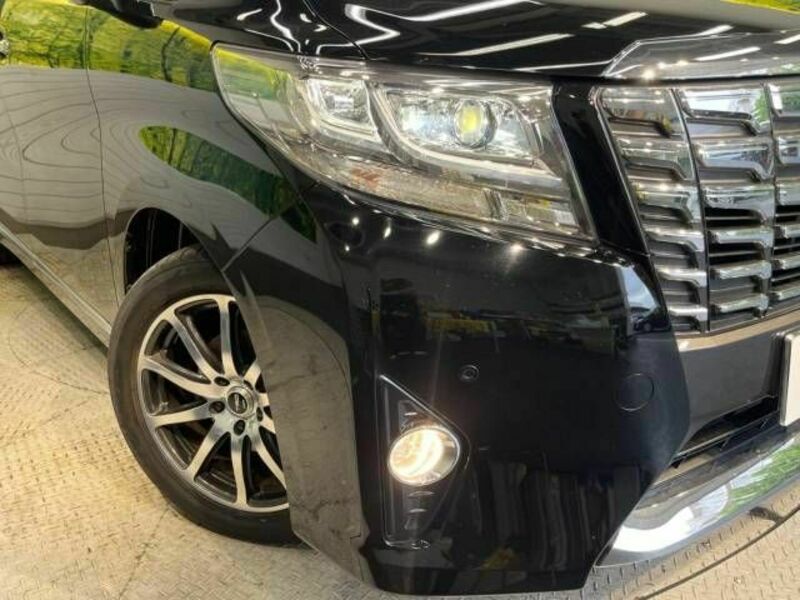 ALPHARD-13