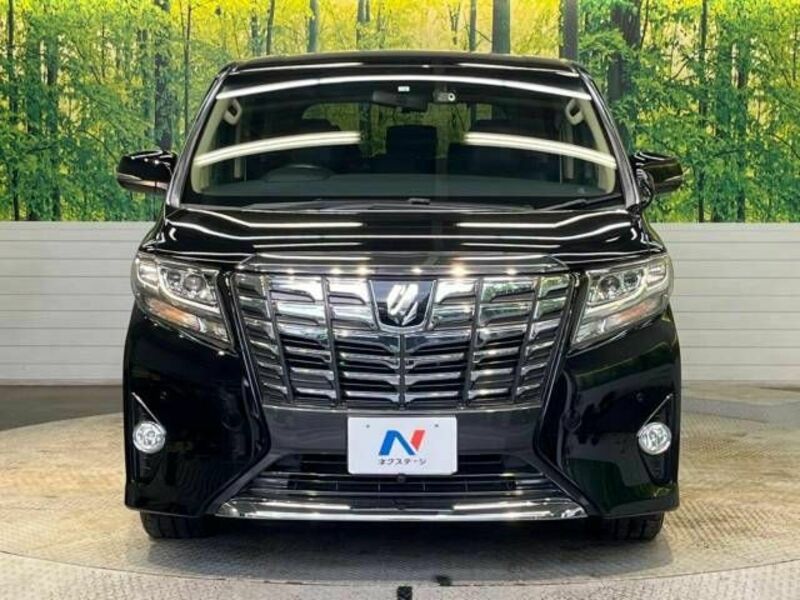 ALPHARD-15