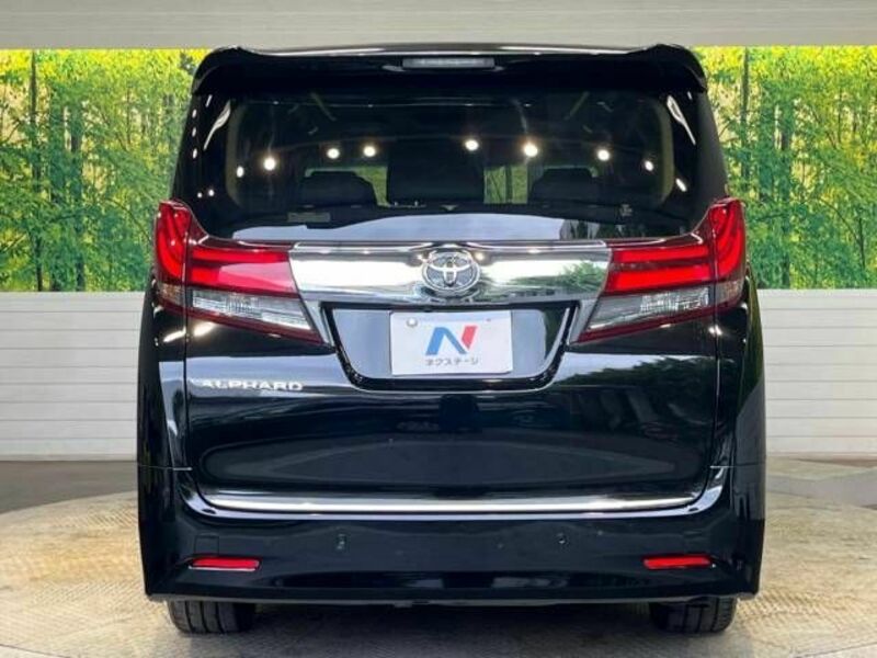 ALPHARD-16