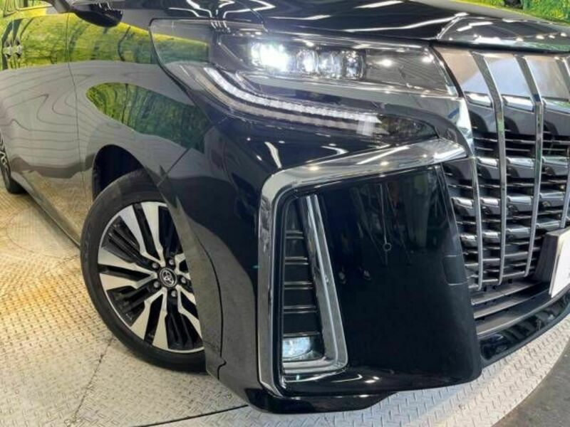 ALPHARD-13