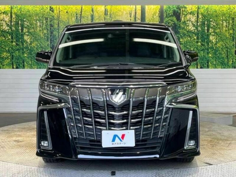 ALPHARD-15