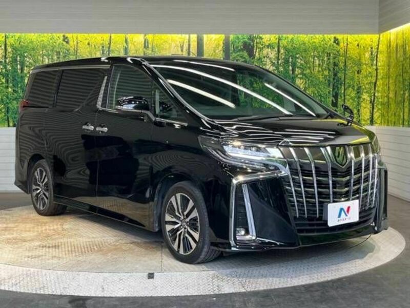 ALPHARD-17