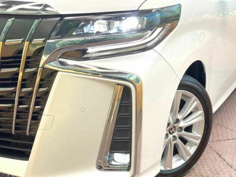 ALPHARD-12