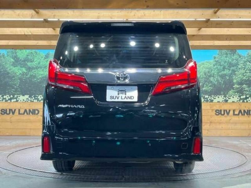 ALPHARD-16