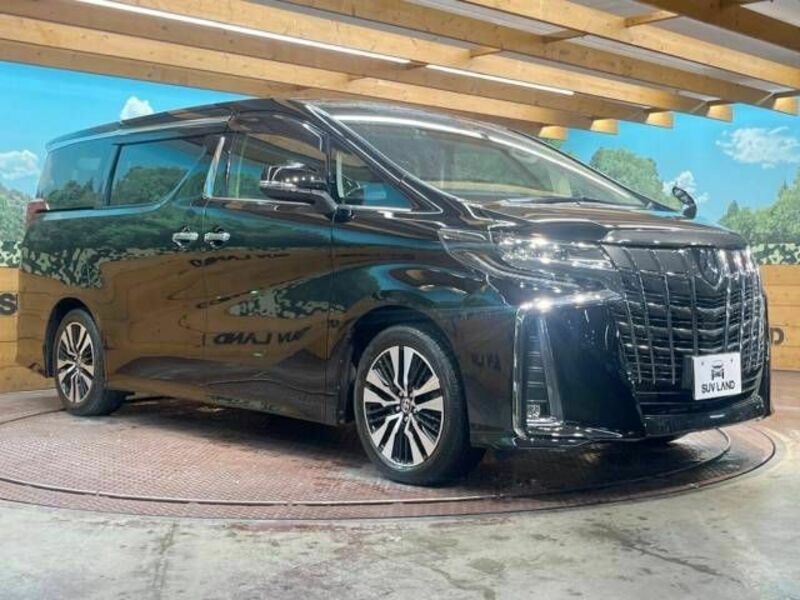 ALPHARD-17