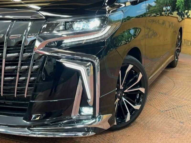 ALPHARD-14