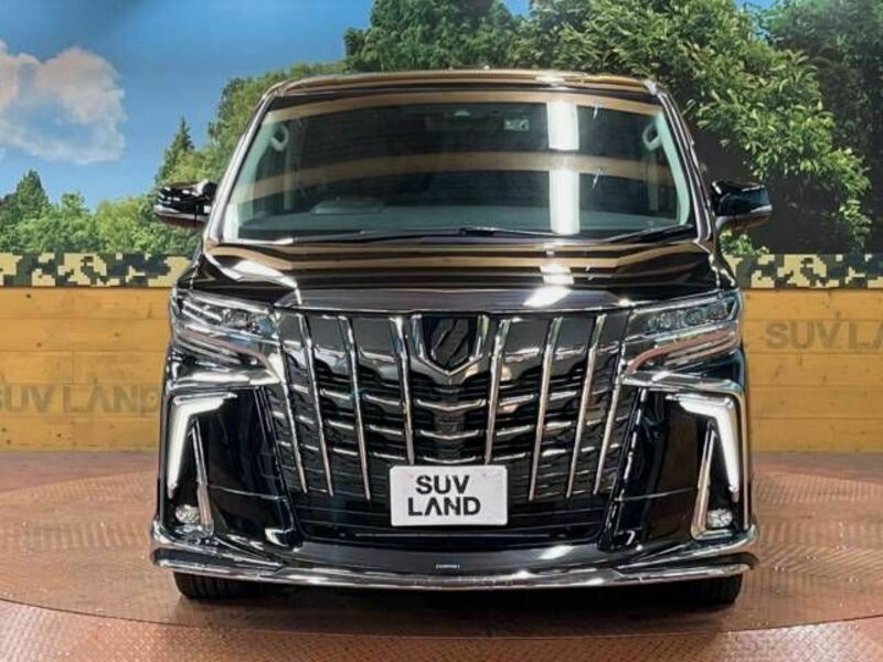 ALPHARD-15