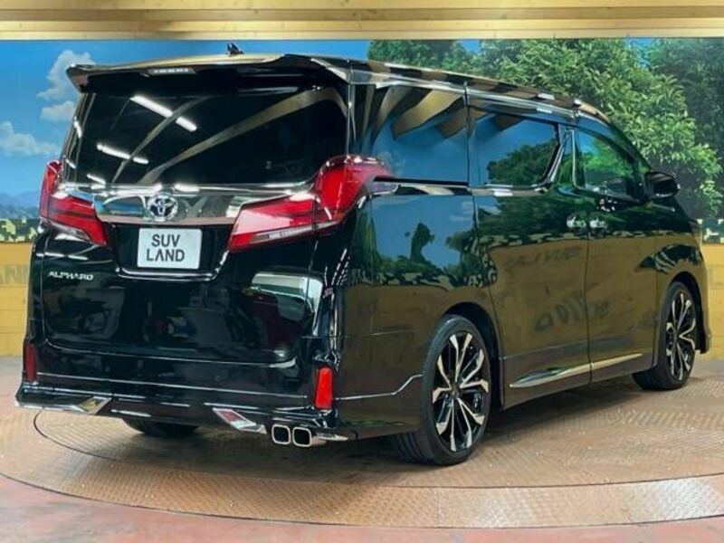 ALPHARD-18