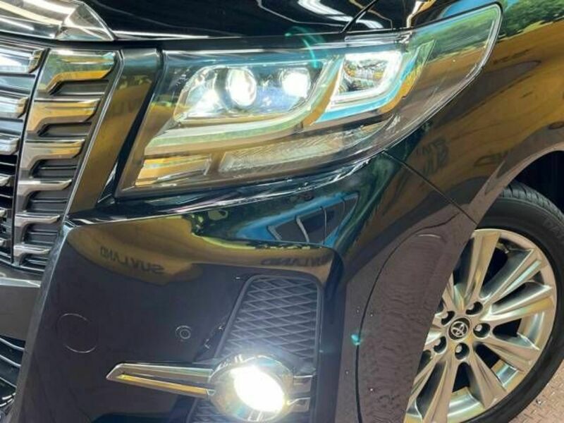 ALPHARD-12