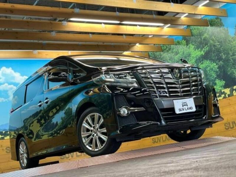 ALPHARD-16